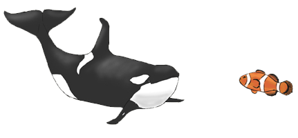 whale and clown fish
